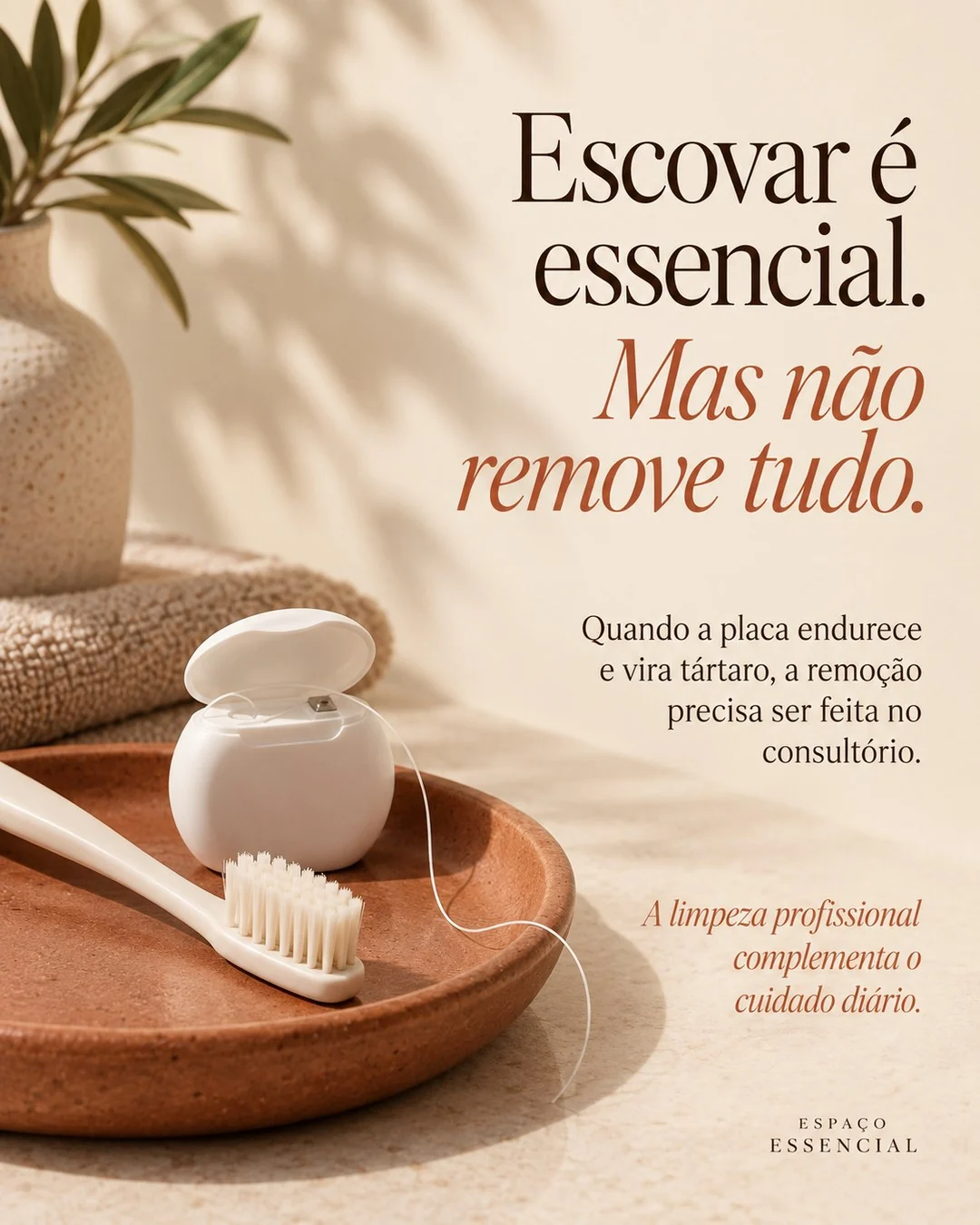 A importância da limpeza, arte 2 de 4